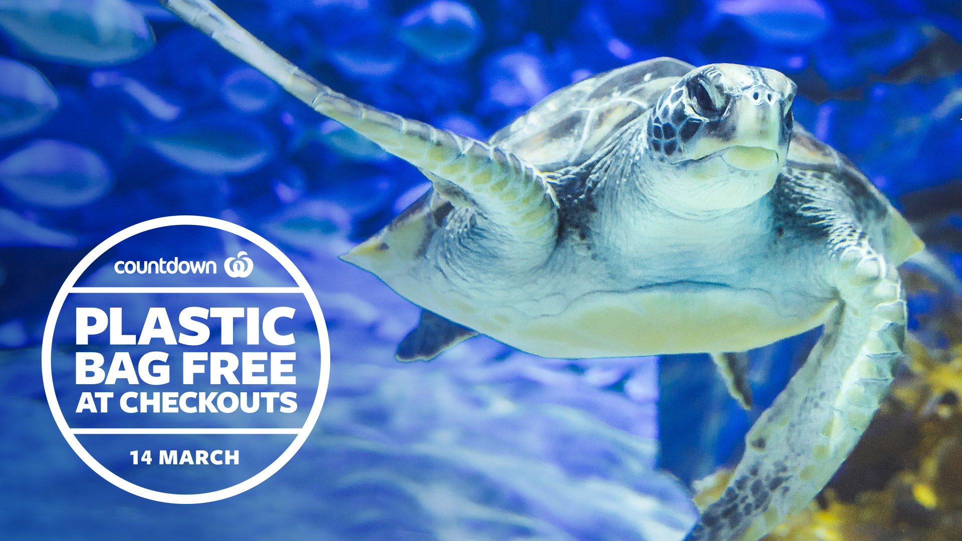 WHANGAREI COUNTDOWN GO PLASTIC BAG FREE Supermarket News