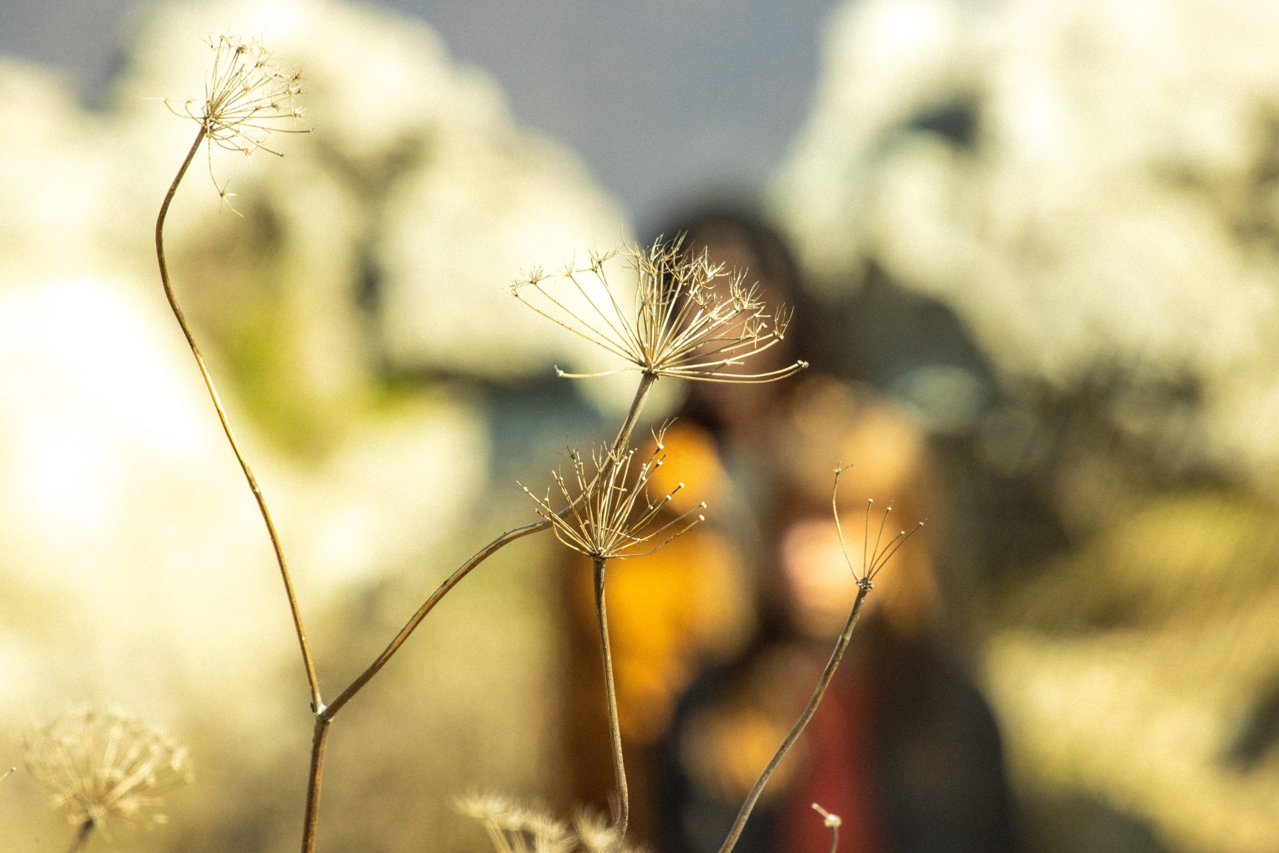 Timberland x icebreaker (10)